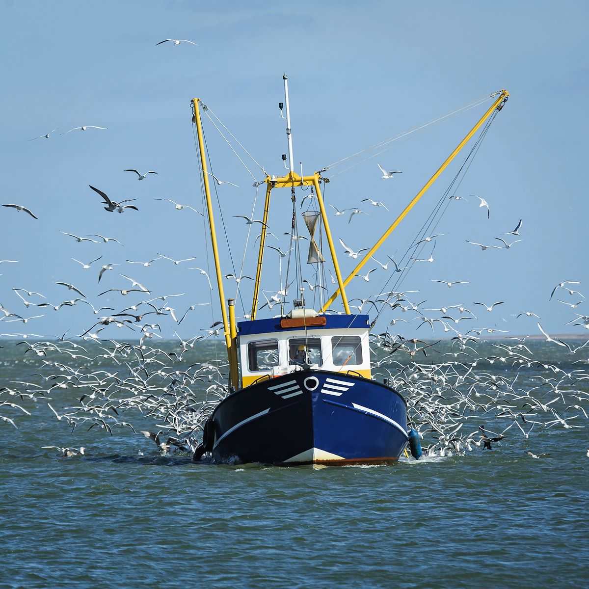 Coded Vessel Training Manuals: A Guide to Vessel Safety, Compliance and Crew Preparation