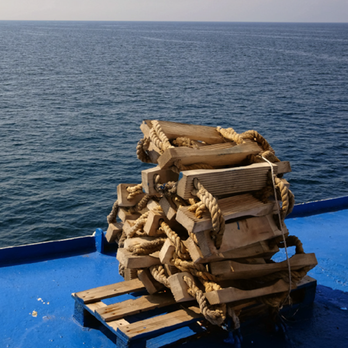 Pilot and Embarkation Ladders